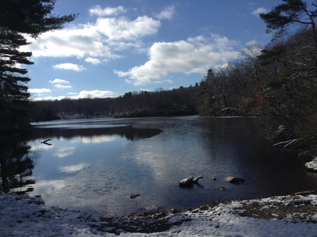 Collis P. Huntington State Park-Redding必去景点