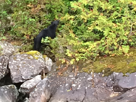 Jamie's Whaling Station & Adventure Centres-托菲诺必去景点