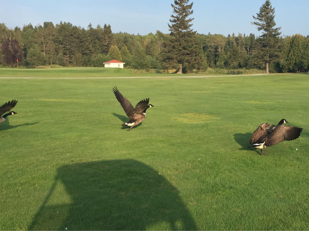 Le Club de Golf du Bic-Le Bic必去景点