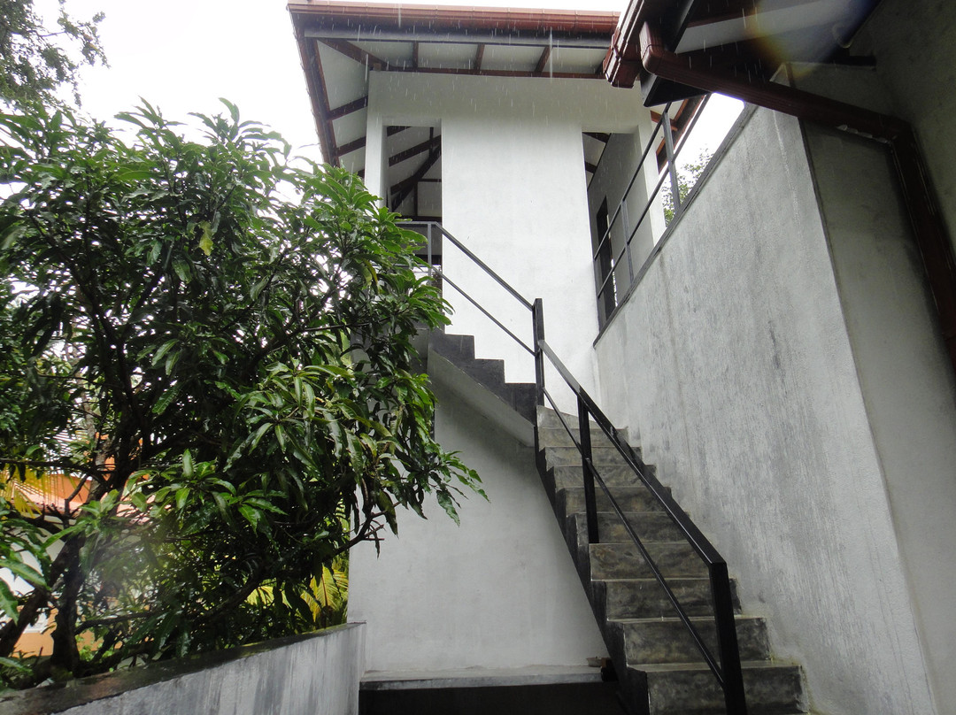 Tropical Tree Villa Galle主图