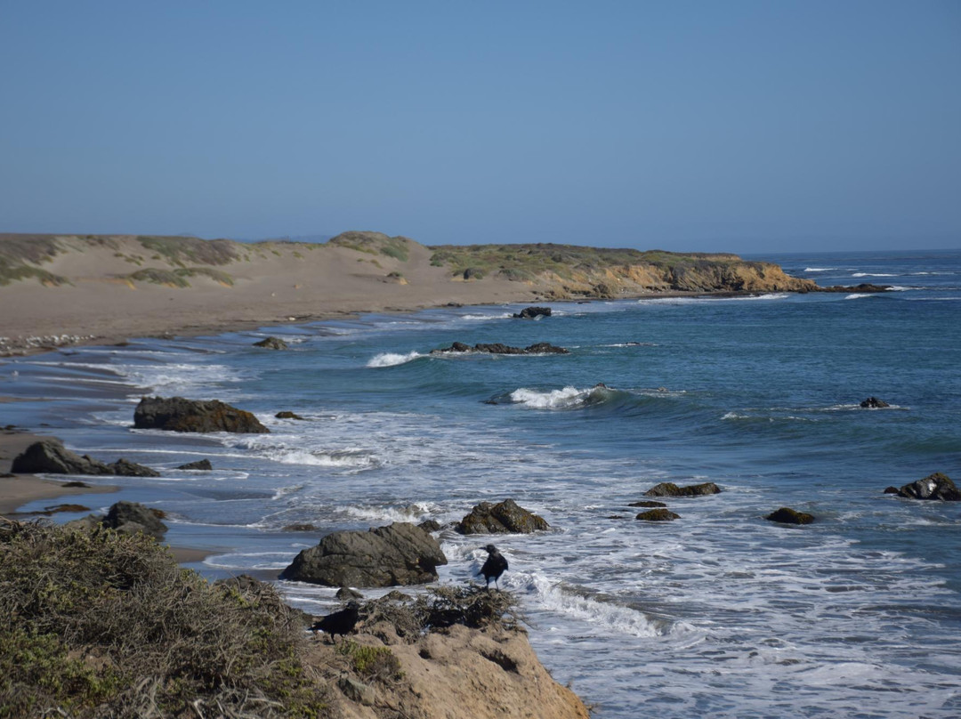Coastal Discovery Center at San Simeon Bay (Monterey Bay National Marine Sanctuary)景点图片