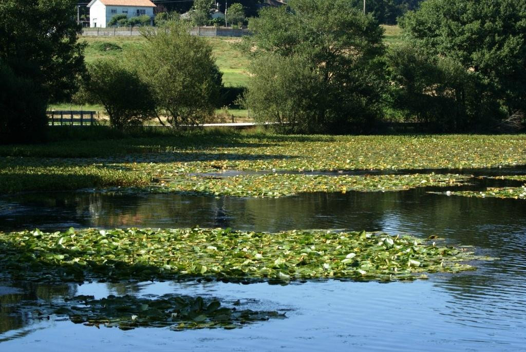 Lagoa de Sobrado景点图片