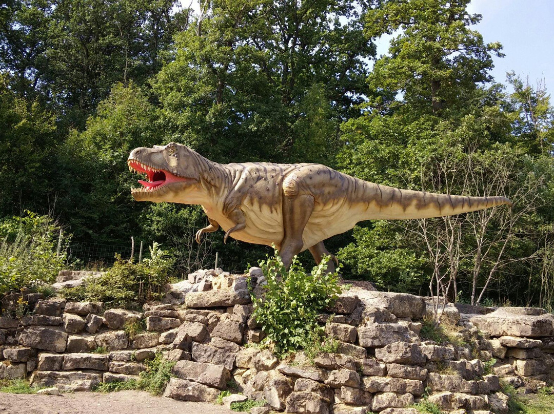 Dinosaurierpark Teufelsschlucht景点图片