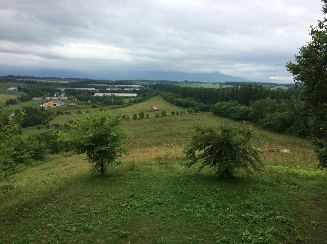 Chiyoda Hill Lookout-美瑛町必去景点