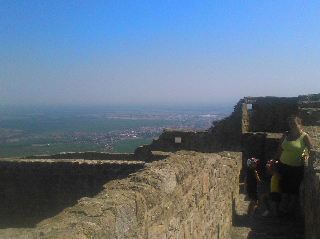 Château du Hohlandsbourg景点图片