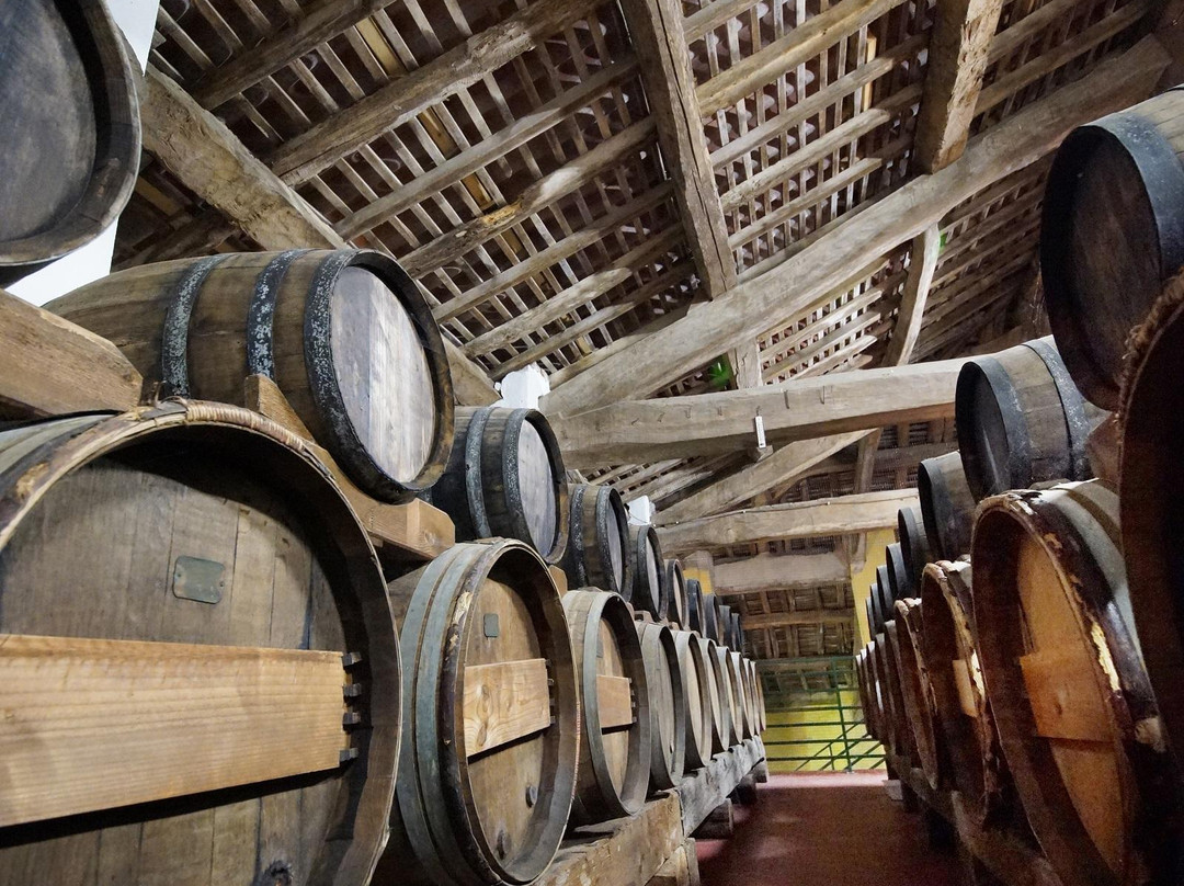 Podere Francesco景点图片
