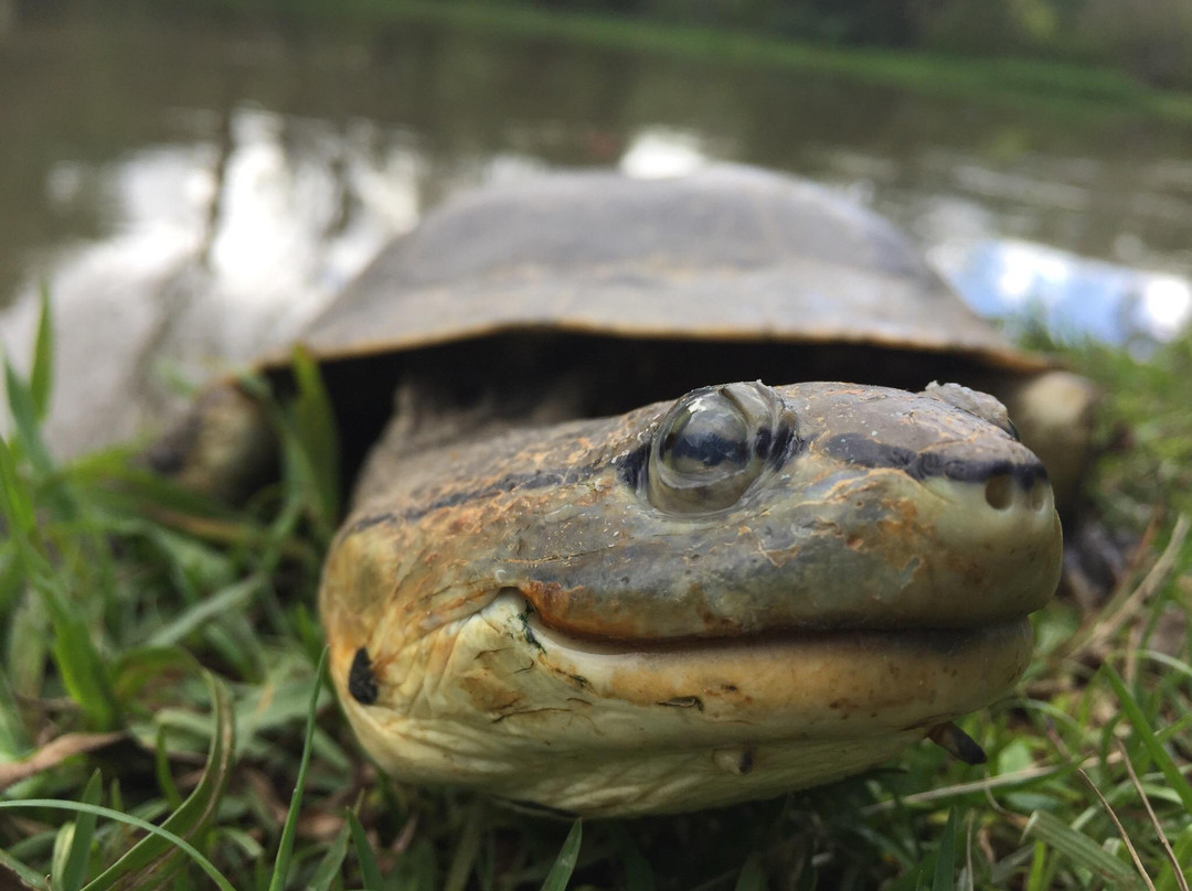 Jardim Botânico-阿雷格里港必去景点