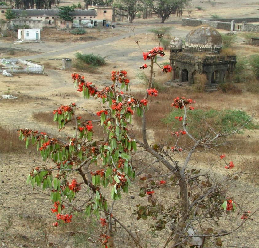 Valley of the Sufi Saints景点图片