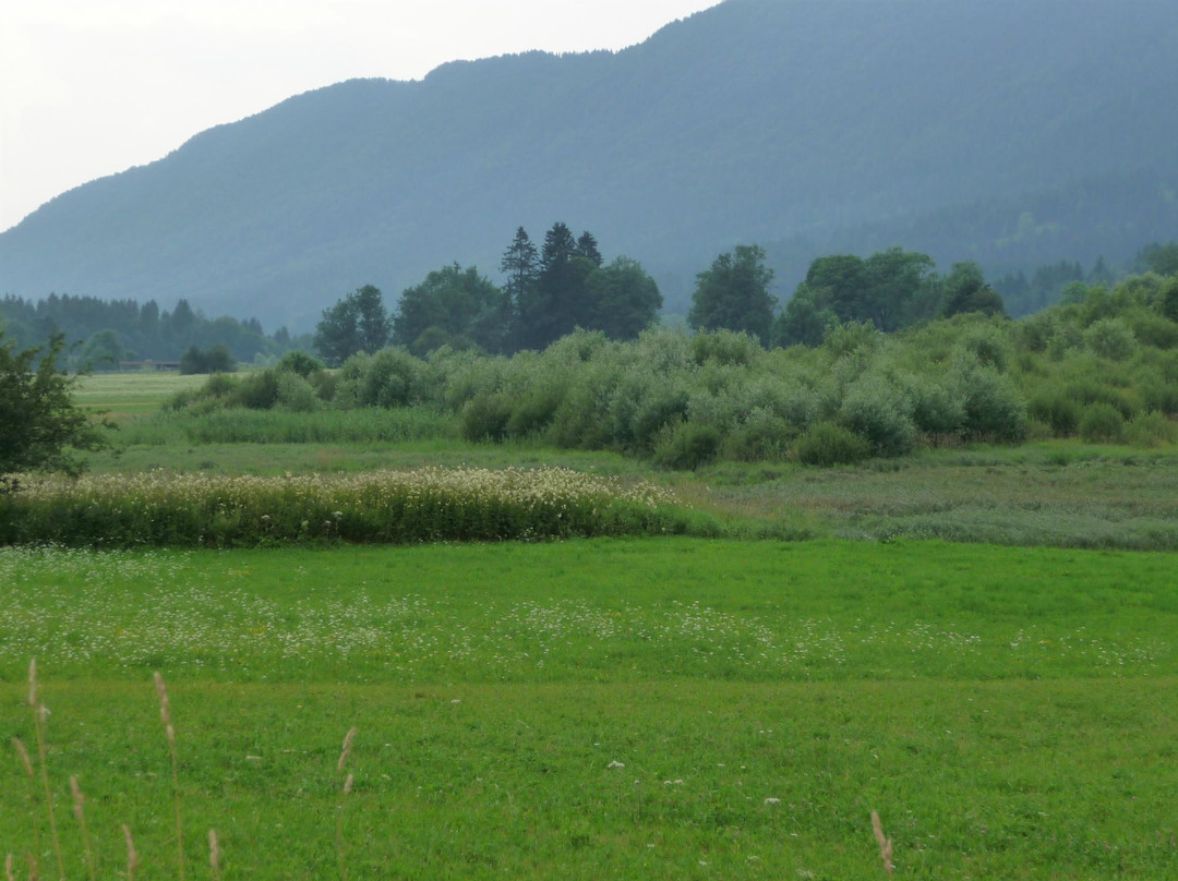 Recurrent Lake of Ledine景点图片