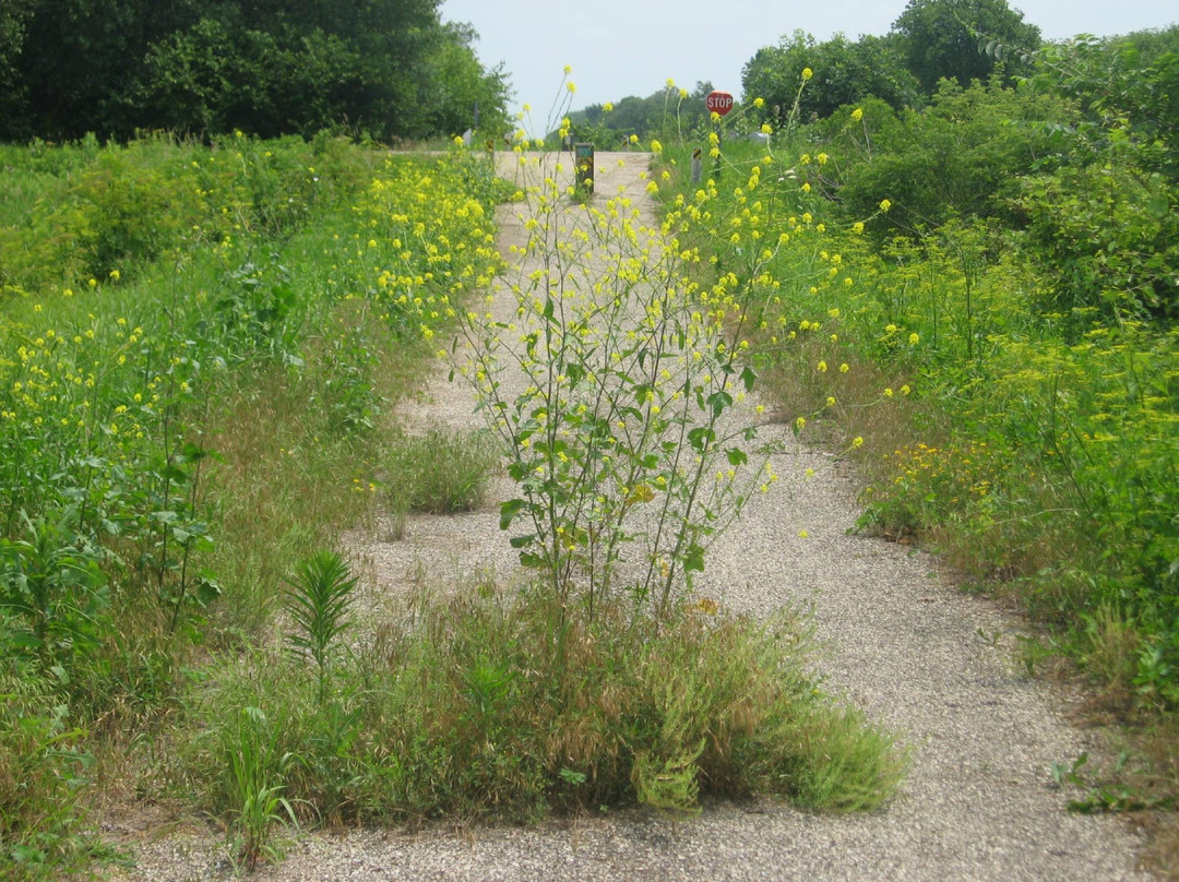 Hennepin Canal Parkway景点图片