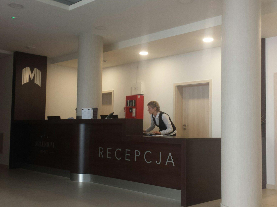 Hotel Milenium主图