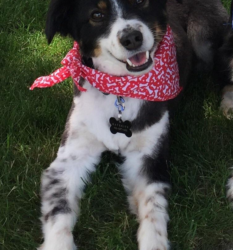 Hope Street-布里斯托尔必去景点