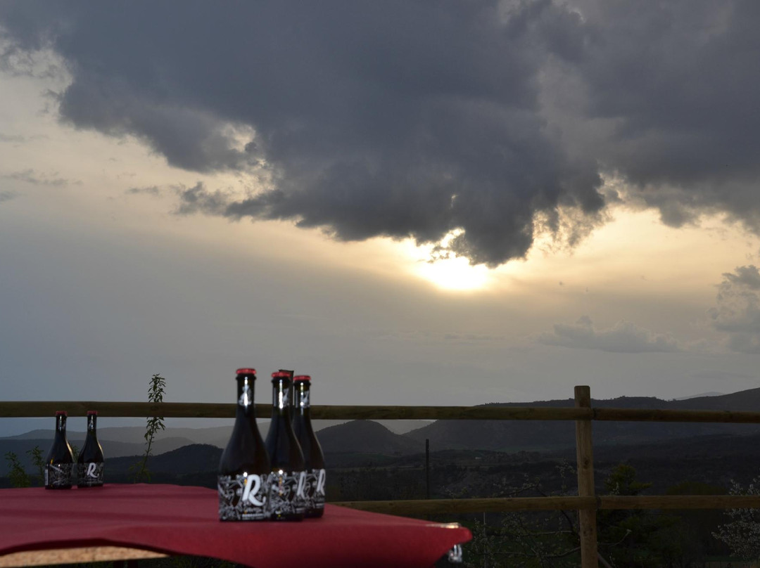 Cerveza Rondadora景点图片