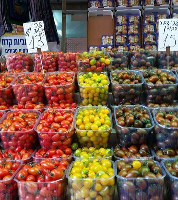 Eva Israeltours-Haifa必去景点