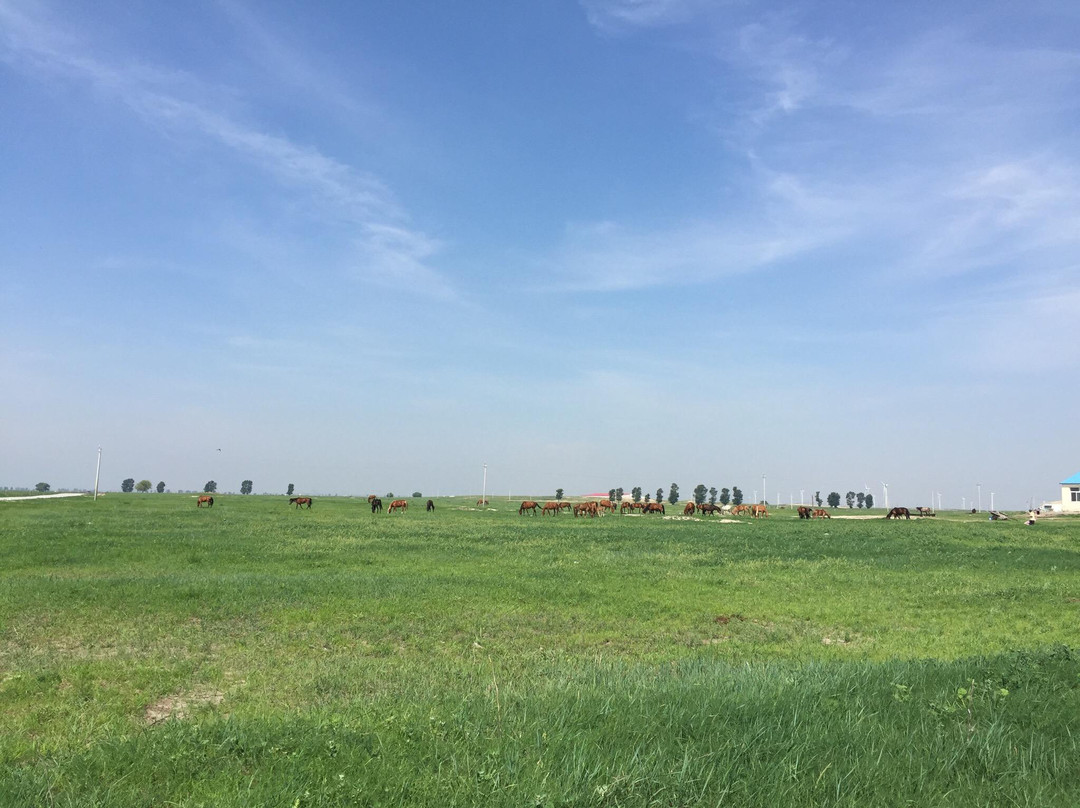 科尔沁左翼中旗旅游攻略图片