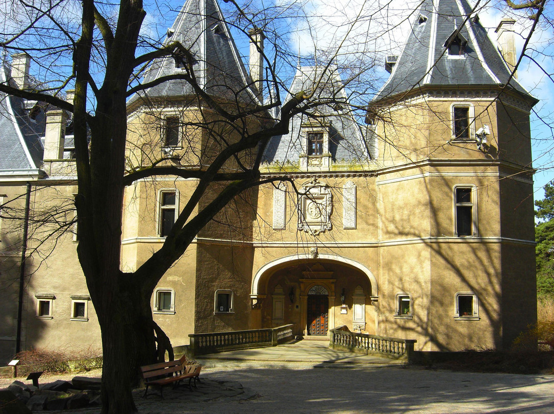 Goluchow Castle景点图片