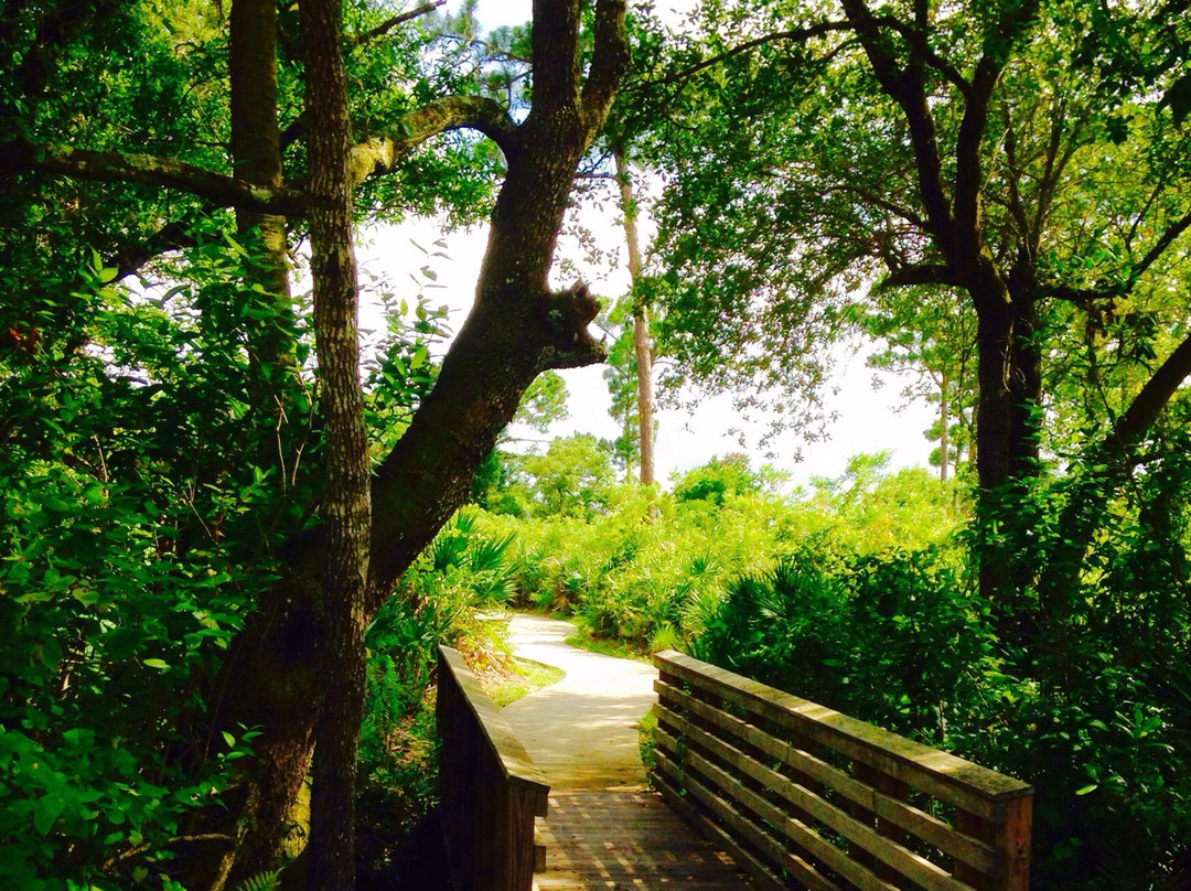 Limestone Creek Natural Area-朱庇特必去景点