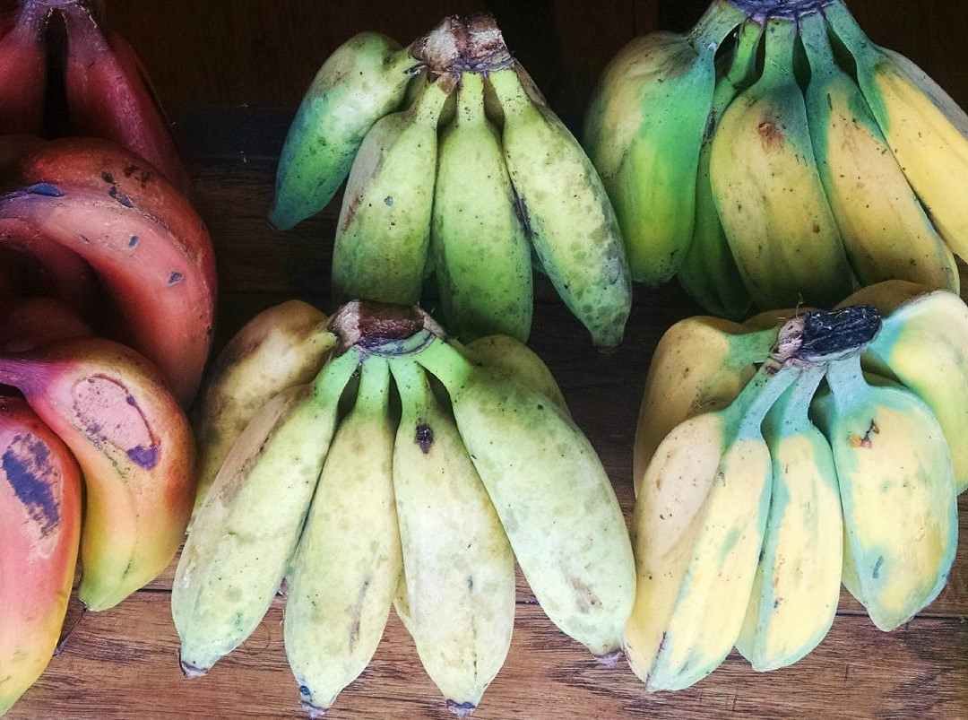 The Locavore Store-希洛必去景点