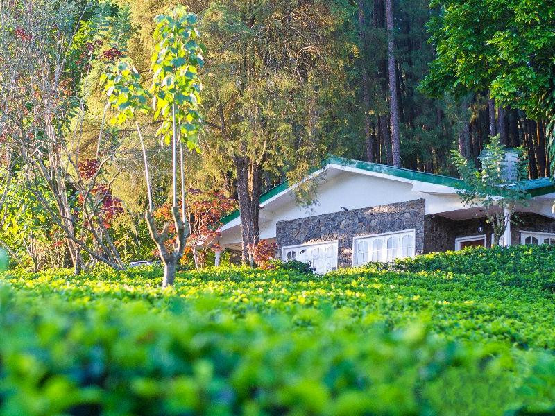 哈顿酒店住宿-The Greendale Bungalow