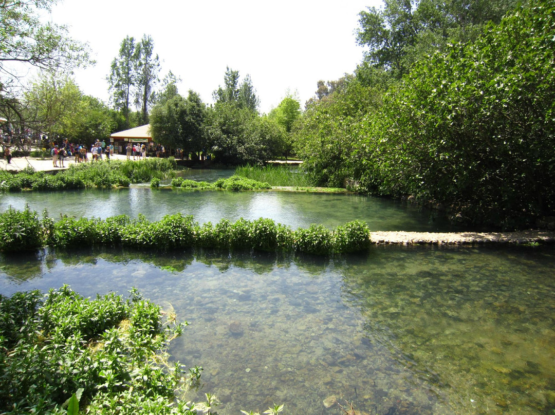 Hermon Stream Nature Reserve