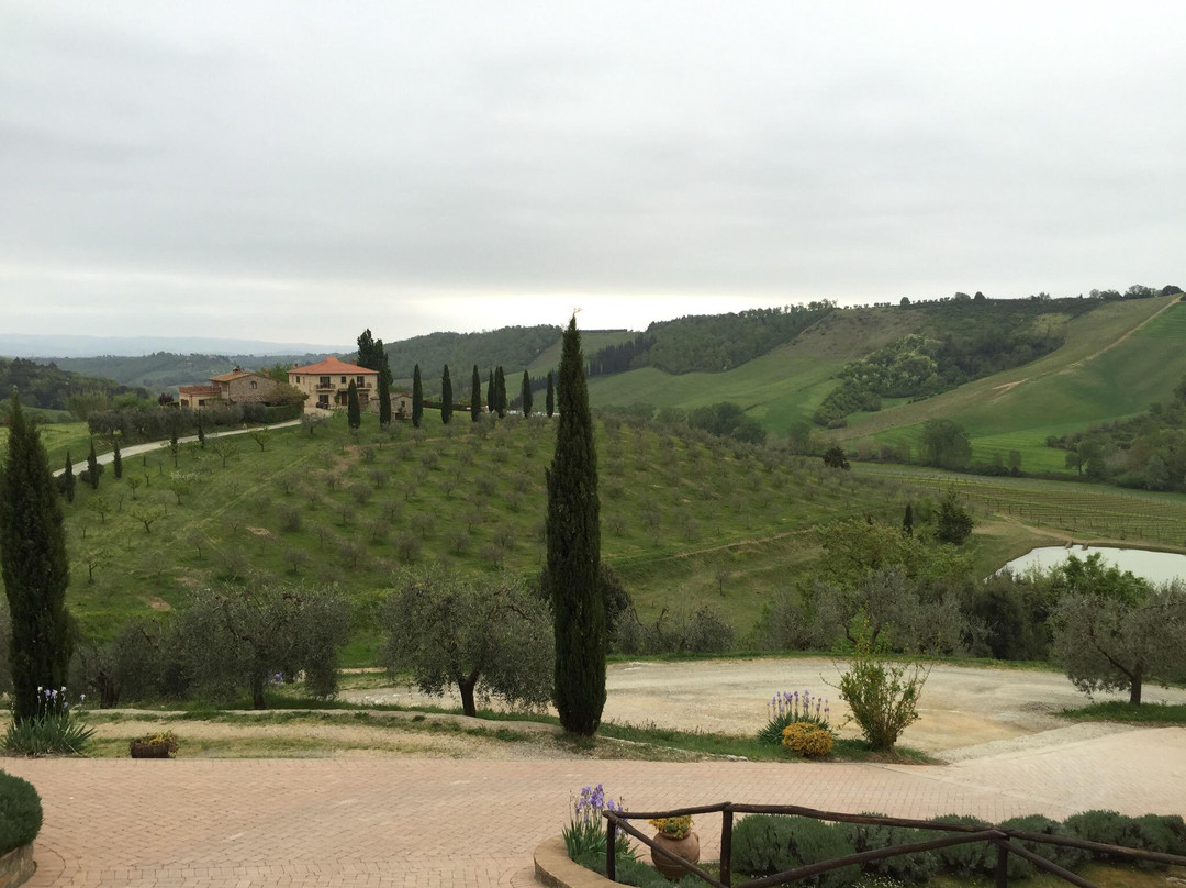 Fattoria Voltrona景点图片