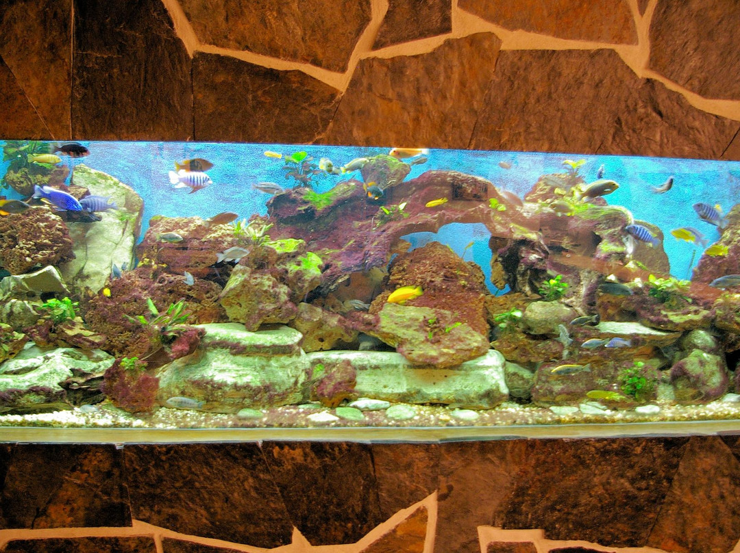 Maison Uxondoa主图