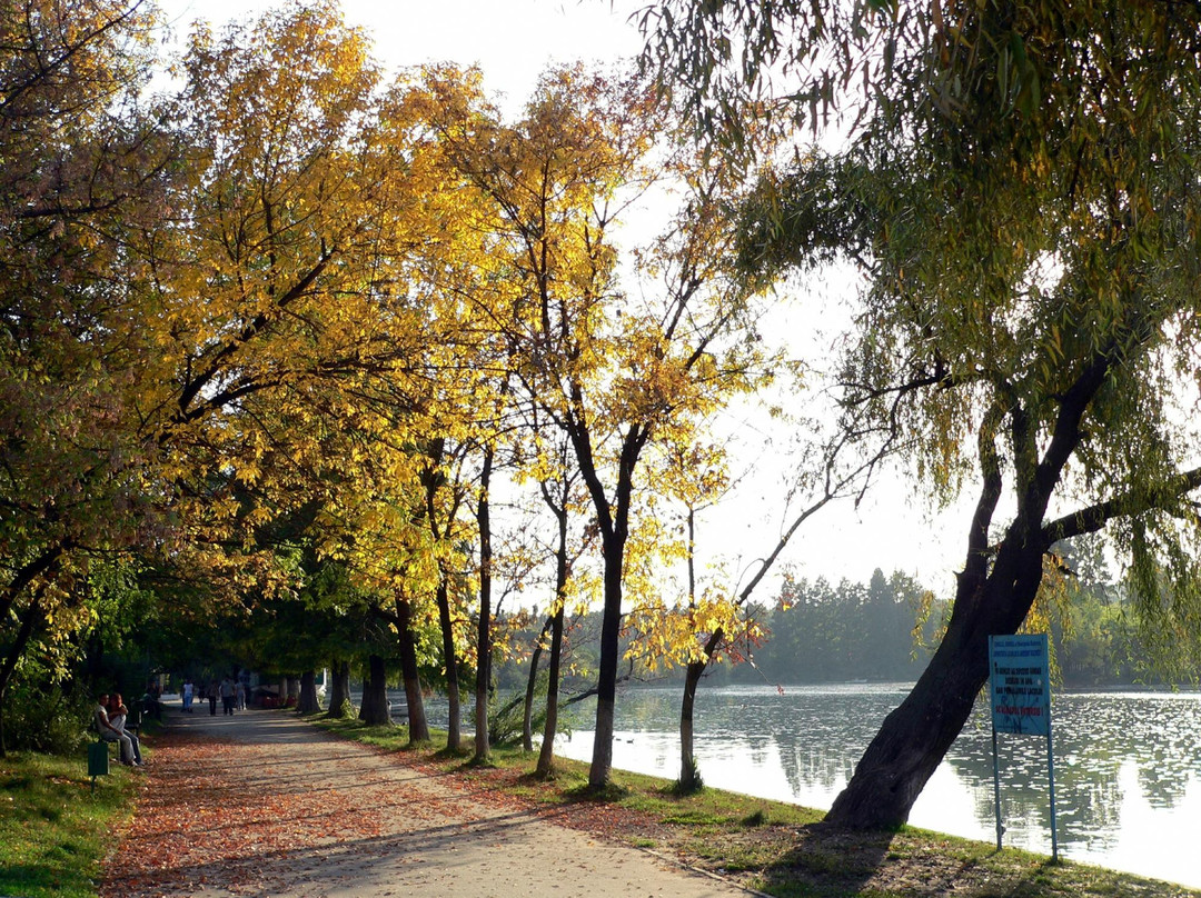 Parcul Pantelimon景点图片