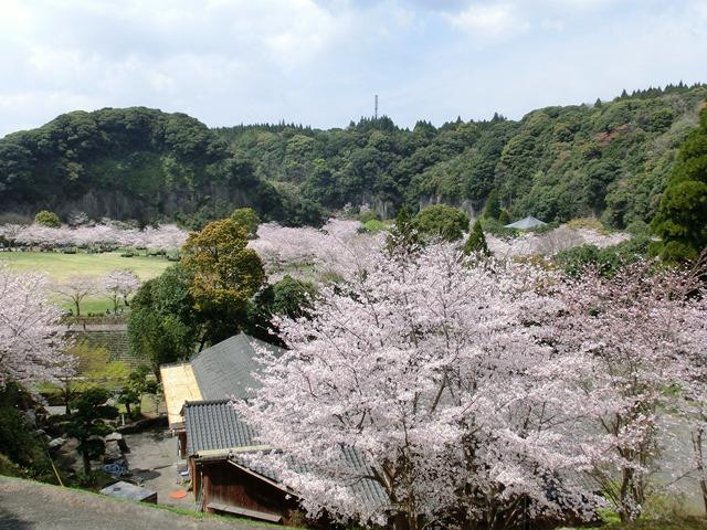 南九州市旅游攻略图片