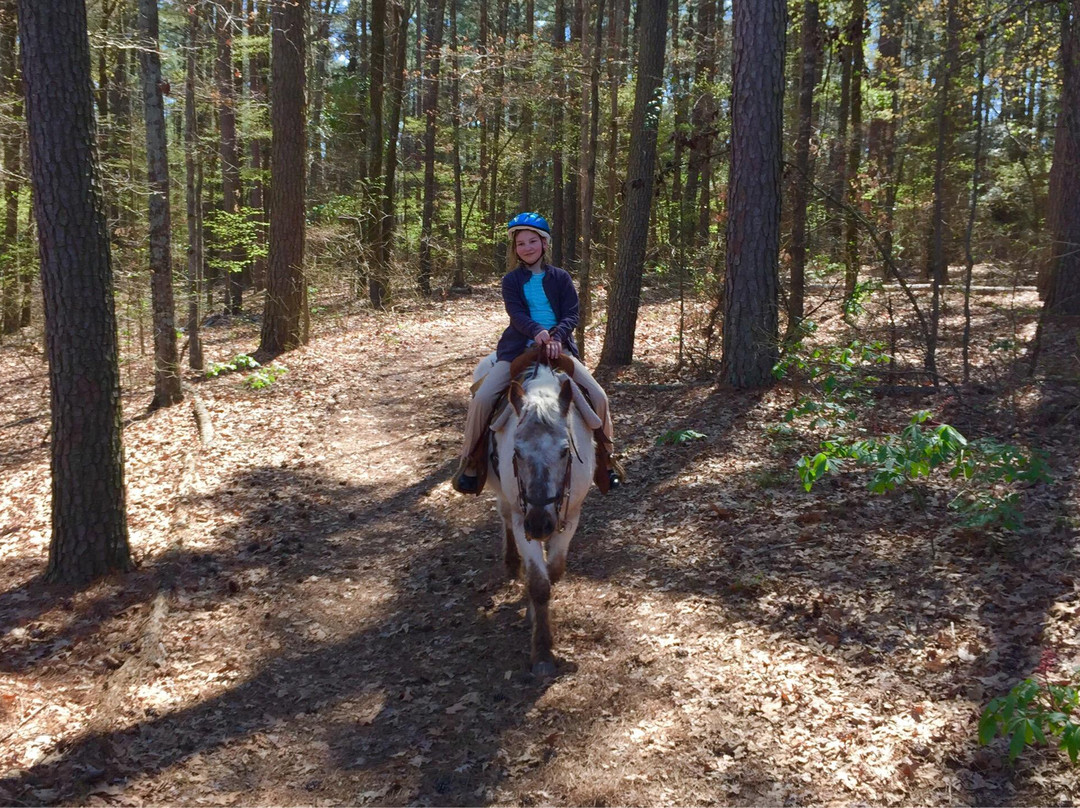 Double S Ranch-Scroggins必去景点
