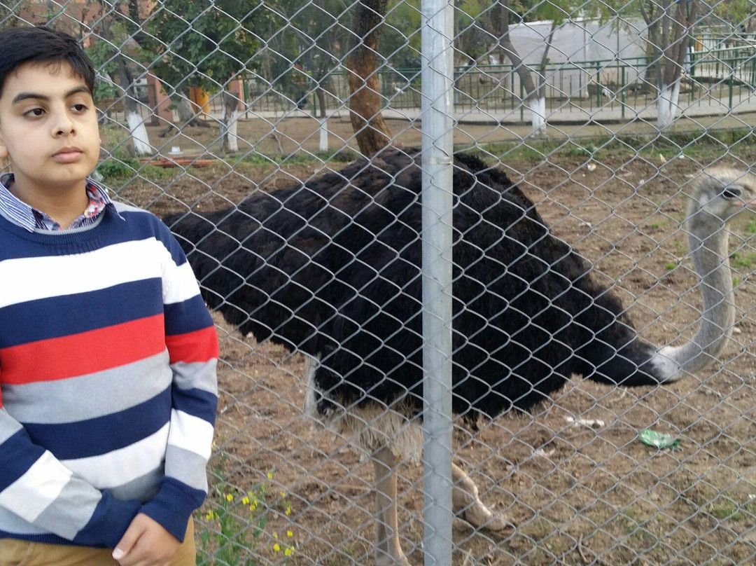 Lake View Park-伊斯兰堡必去景点