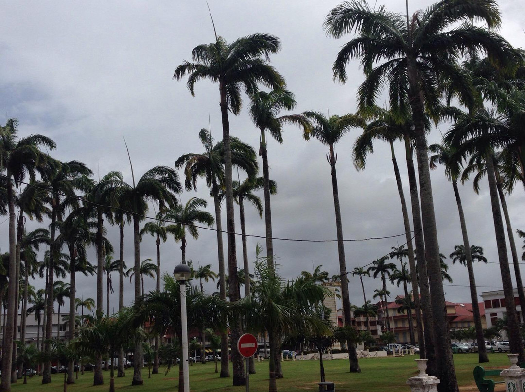 Avenue du Général de Gaulle-卡宴必去景点