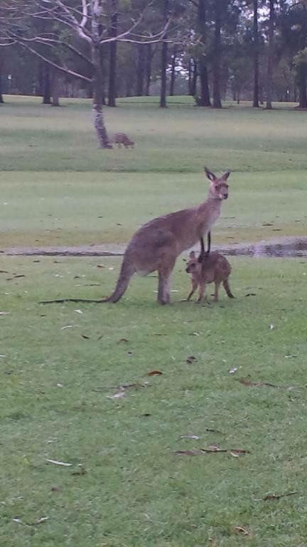 Mareeba Golf Club-马里巴必去景点