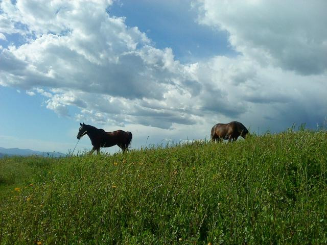 Hills and Trails-Murci必去景点