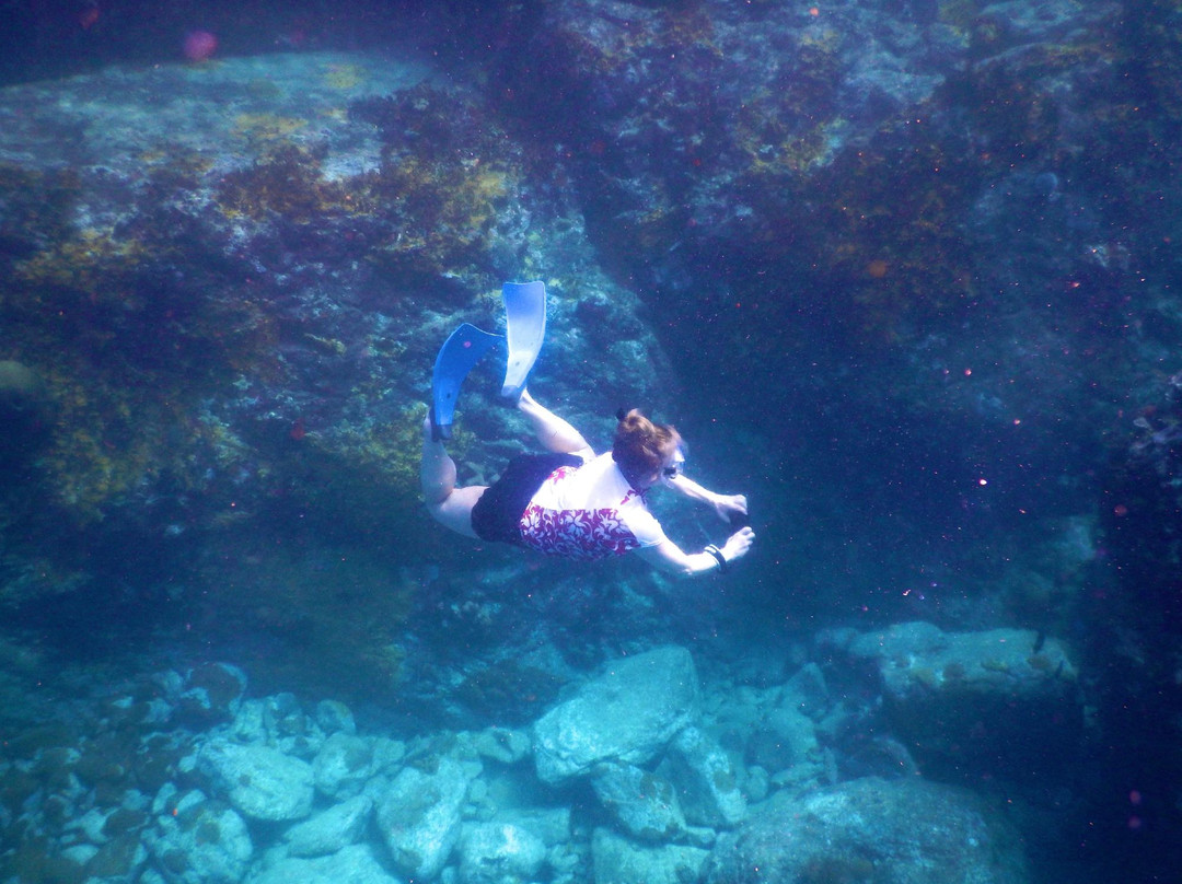 White Wing Sailing-Coral Bay必去景点