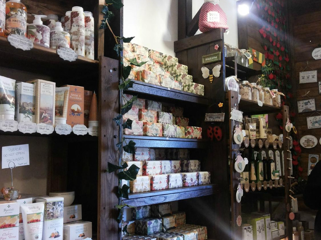 La mela in tasca-阿西西必去景点