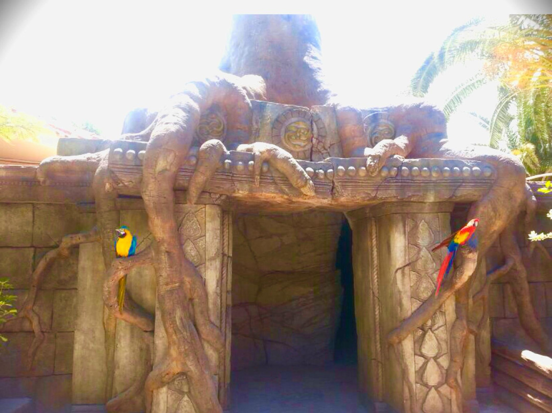 Cocodrilo Park Gran Canaria景点图片