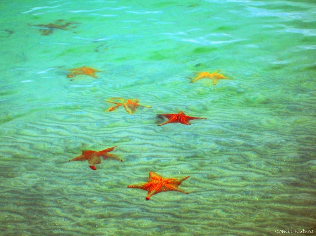 Boteros de Bastimentos-博卡斯镇必去景点