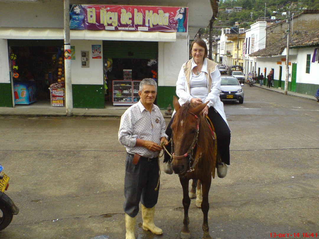 Living Col-Ibague必去景点