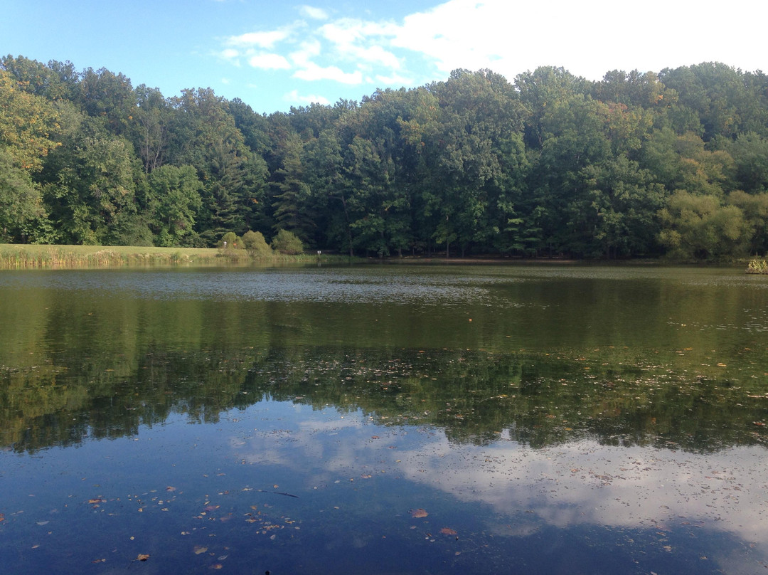 Wheaton Regional Park-银泉必去景点