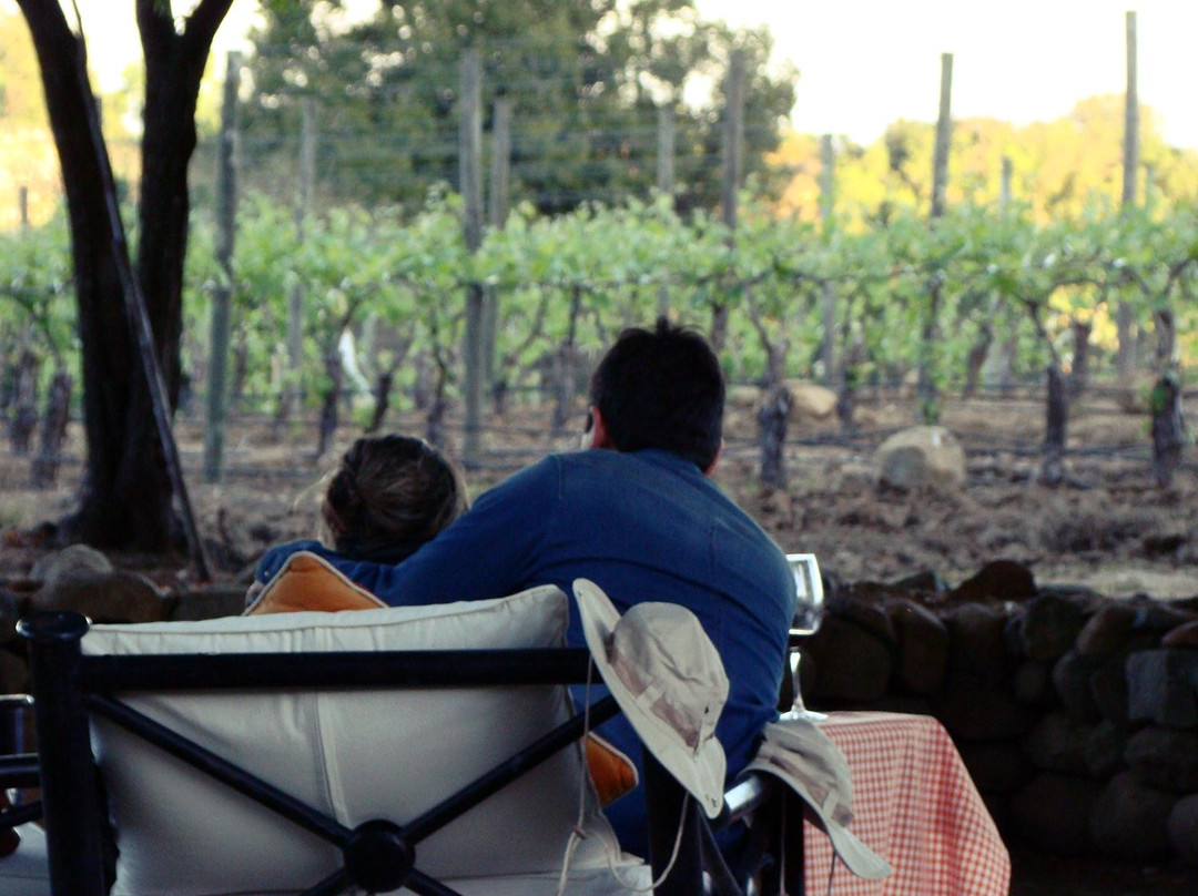 Natural Wine Tours-Palmilla必去景点