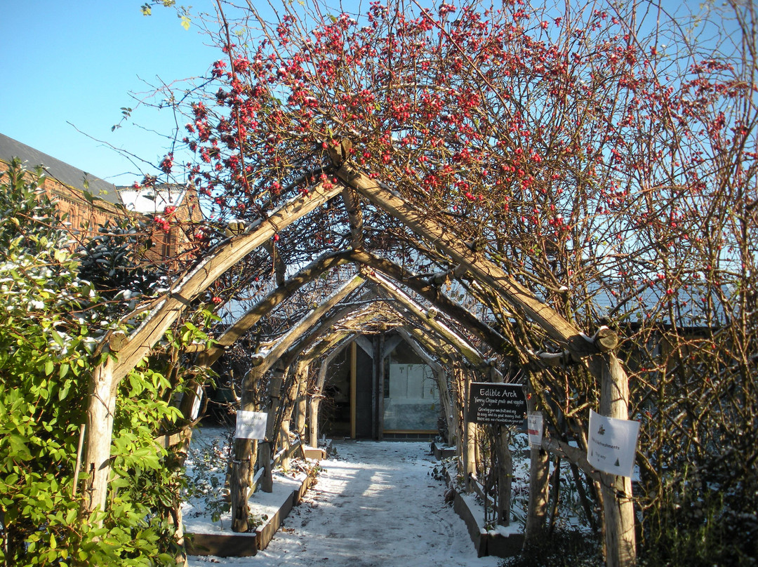 Shropshire Wildlife Trust-什鲁斯伯里必去景点