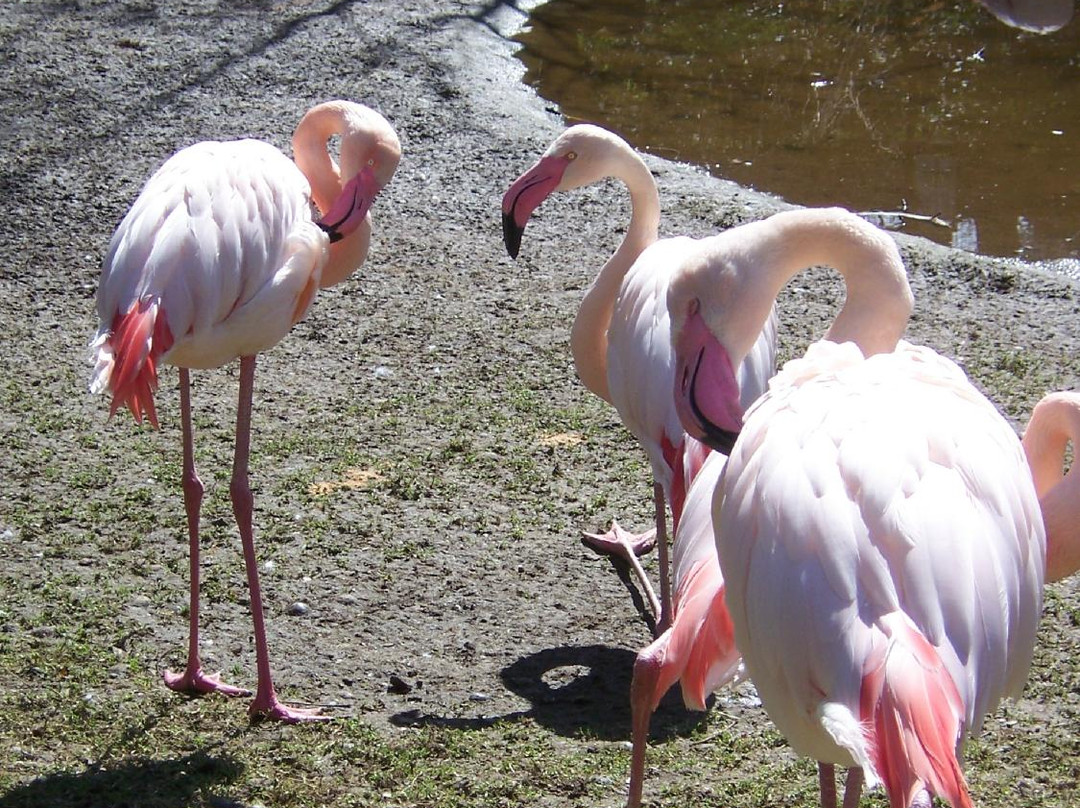 Tierpark Chemnitz-开姆尼斯必去景点