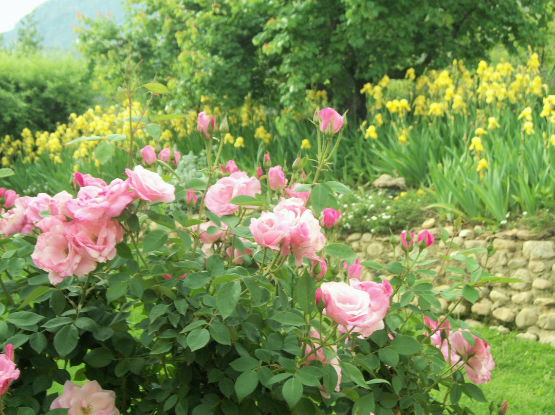 Ladismith Country House: Spiritual Retreat & Guesthouse主图