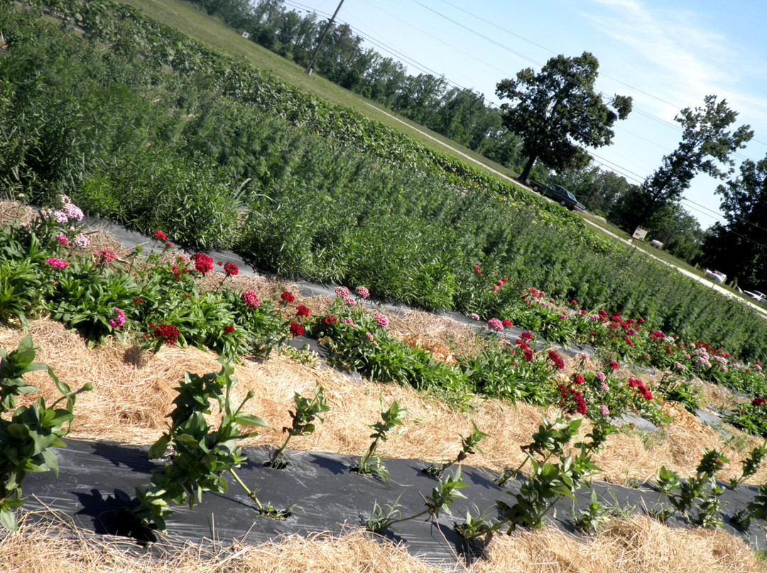 Waller Family Farm景点图片