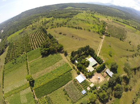 Land Ecotours S.A.S-Tauramena必去景点