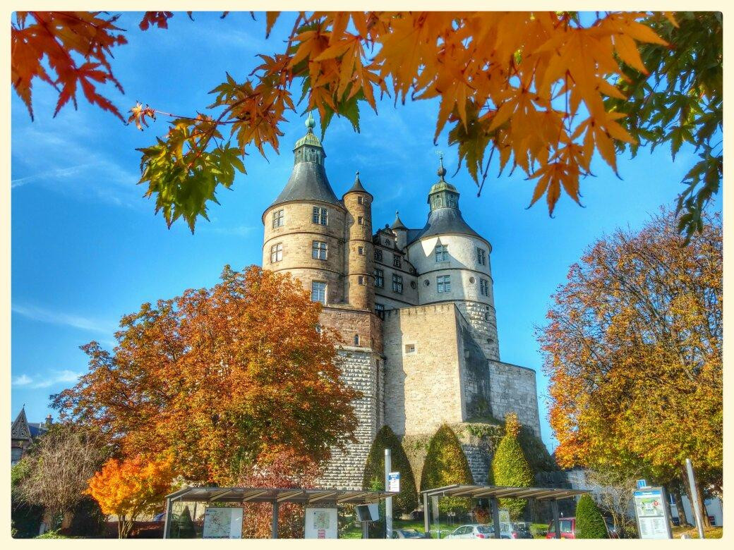 Musée du Château des Ducs de Wurtemberg景点图片