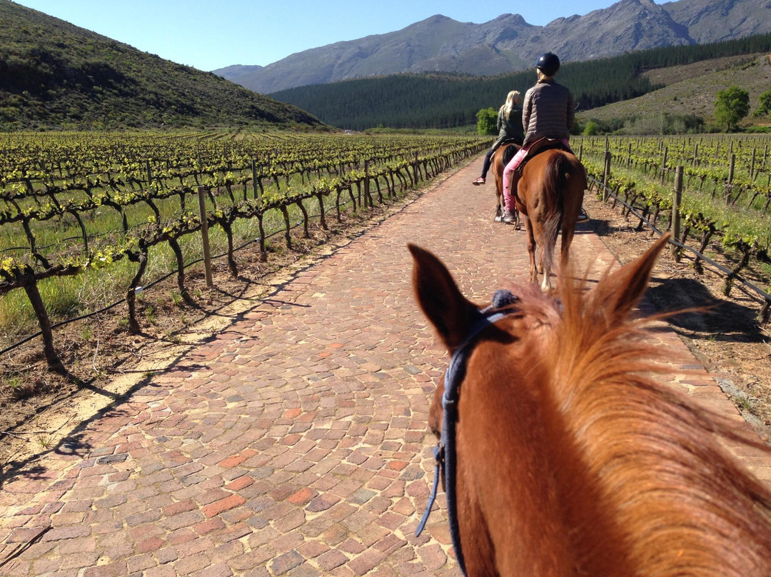 Paradise Stables-法兰舒克必去景点