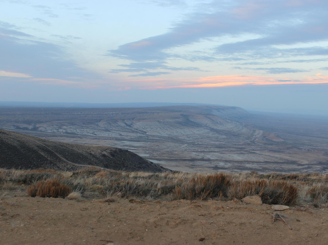 Green River Wild Horse Tours景点图片