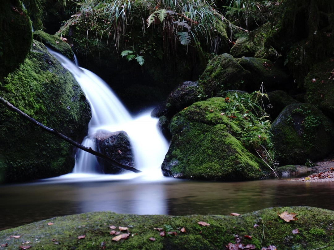Gertelbach-Wasserfälle-Buehlertal必去景点