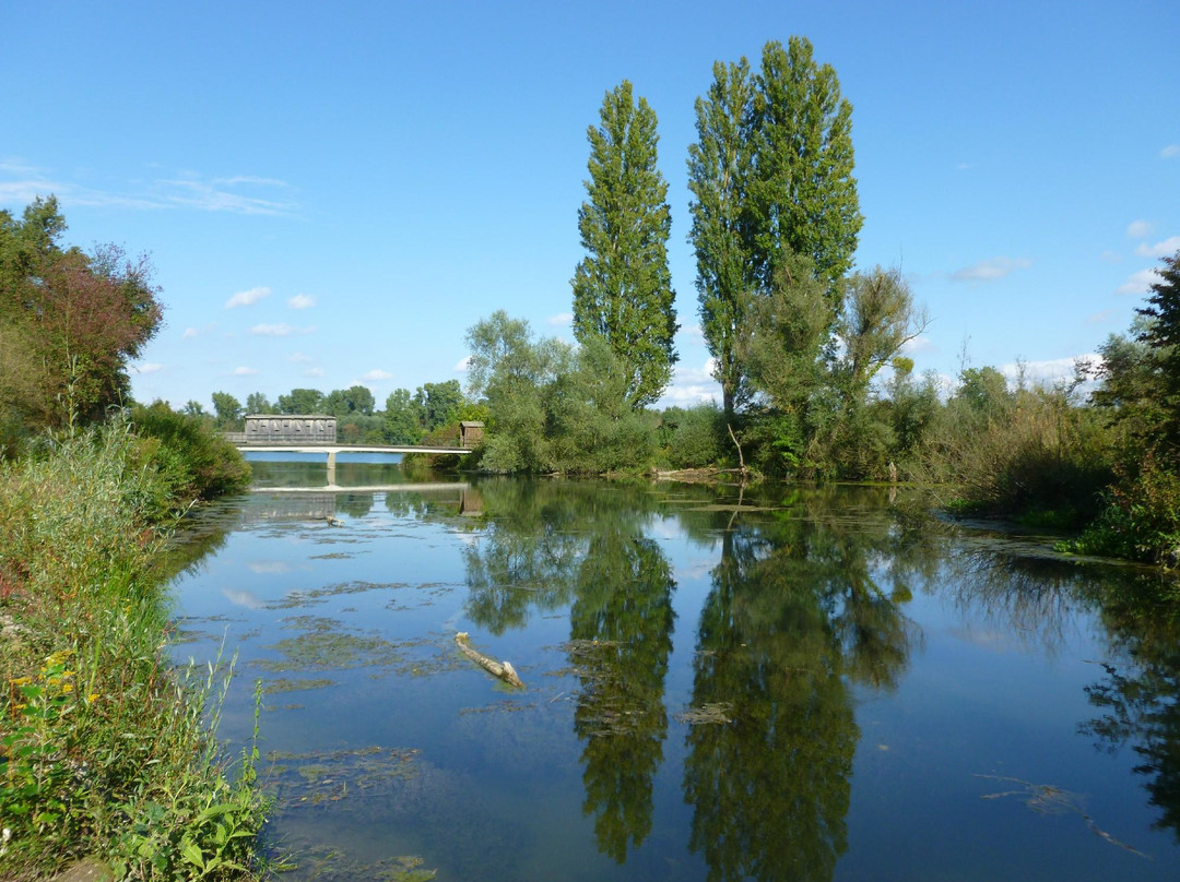 Réserve Naturelle de l'Ile du Rohrschollen-斯特拉斯堡必去景点